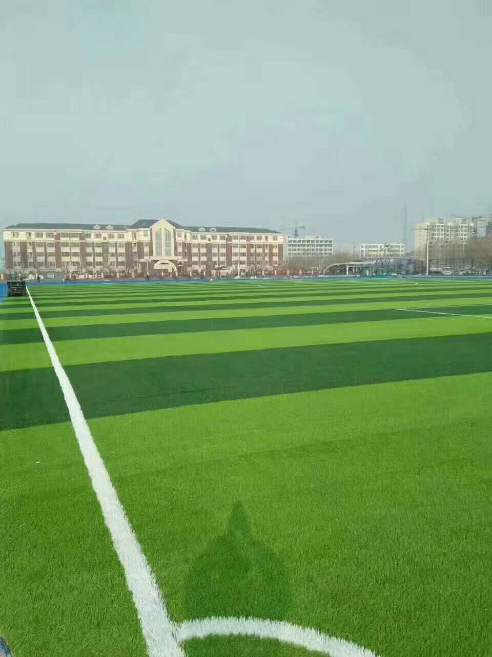 荆门市塑胶跑道仿真草坪 - 哪里好